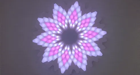 Image of: 8. Lotus 3D LED