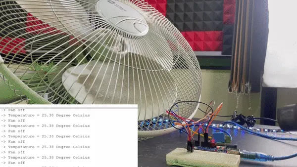 The perfect project for summer